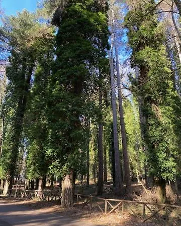 Vieste Holiday Apartman