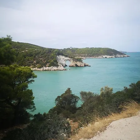 Apartman Vieste Holiday *