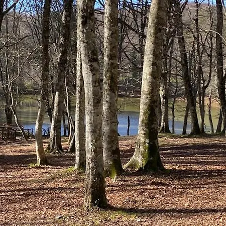 Apartman Vieste Holiday