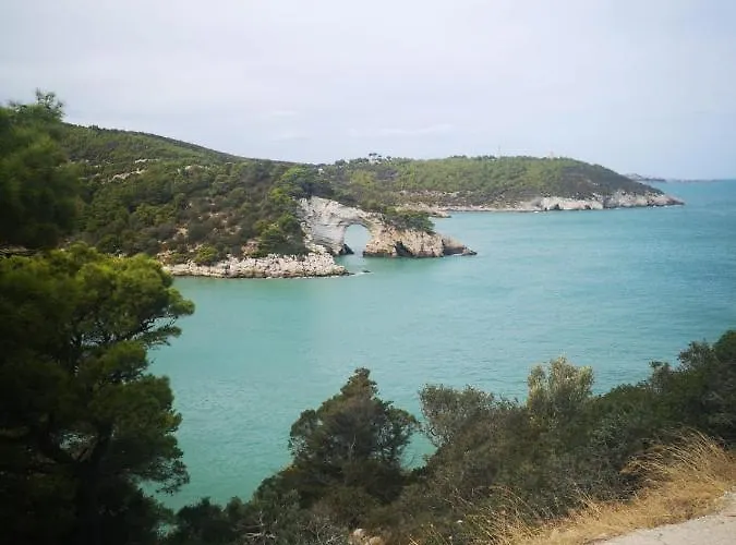 Lejlighed Vieste Holiday *