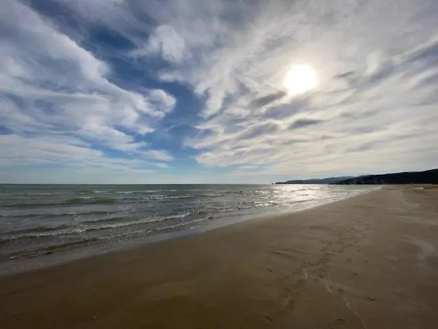 Vieste Holiday